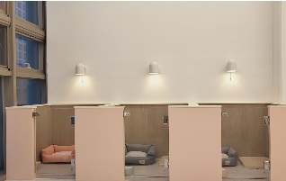 라이프3.jpg