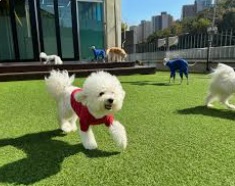 헬로우버디2.jpg