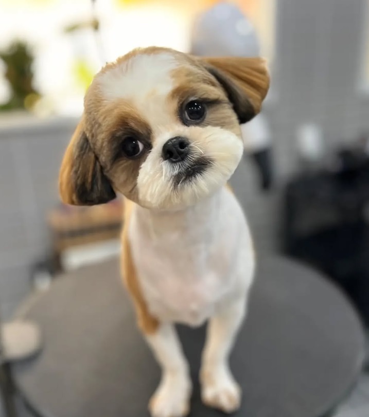 헤이멍.jpg